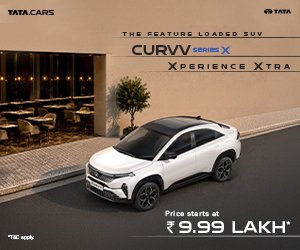 Curvv Query